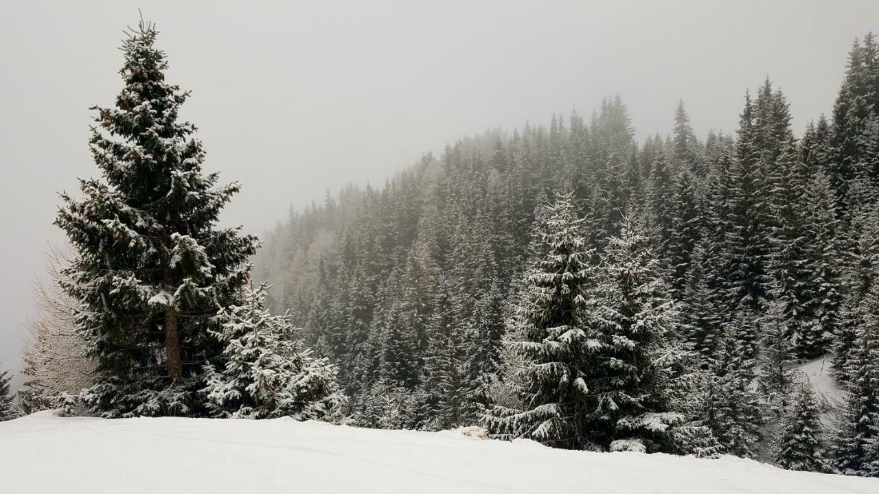 Appartamento Ripsime Colina Marei Sinaia Esterno foto
