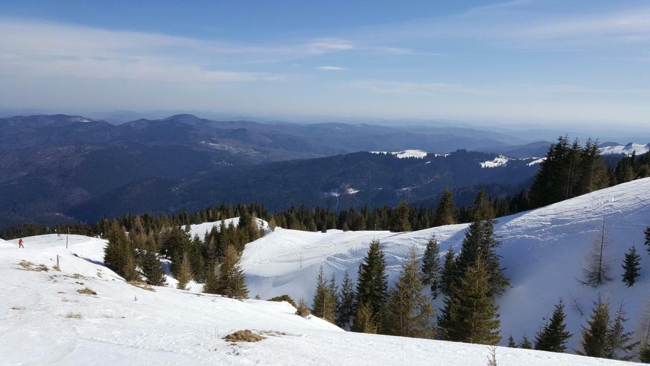 Appartamento Ripsime Colina Marei Sinaia Esterno foto